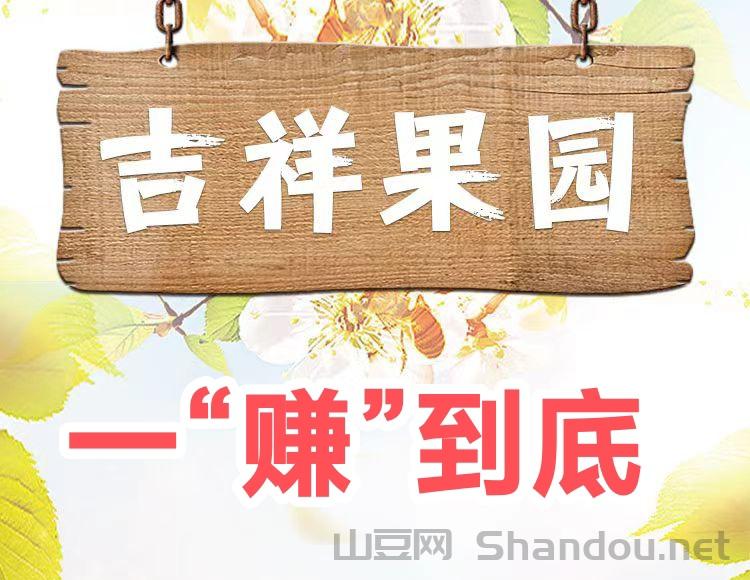 IMG_20260323_113610.jpg 芒果果园-每天收益96元,非常可观的躺赚首码