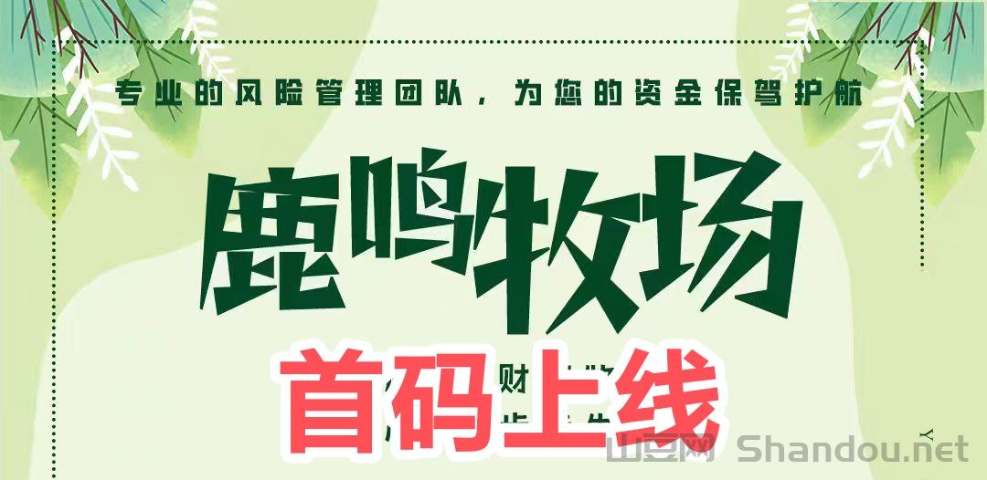 黑熊-5000元 每日收益345元 40天收益13800